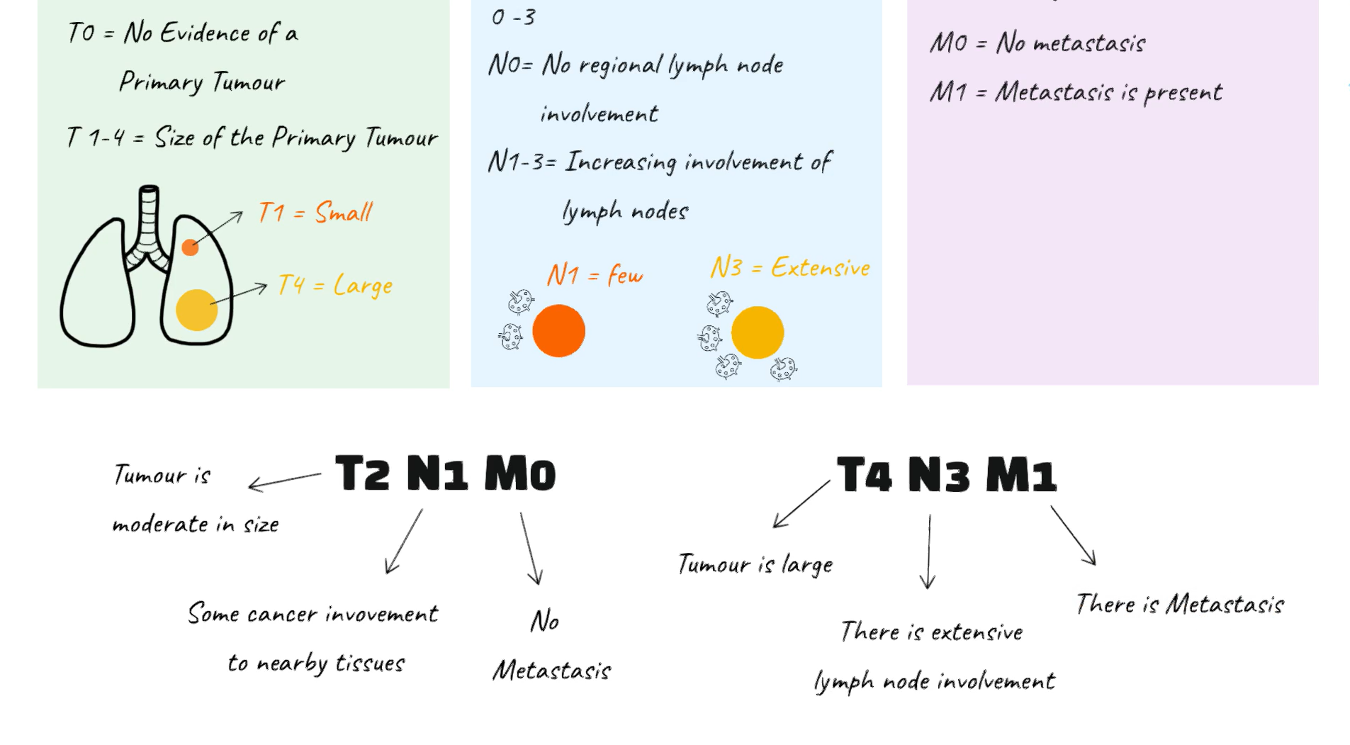 How does Cancer Staging Work?